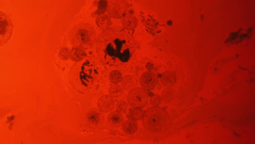 Oil reacting with water