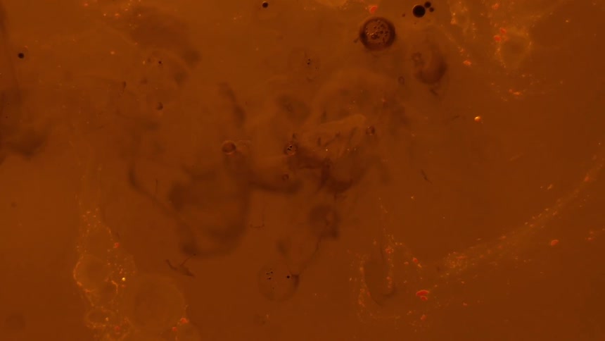 Pool of orange water with small clouds floating in it