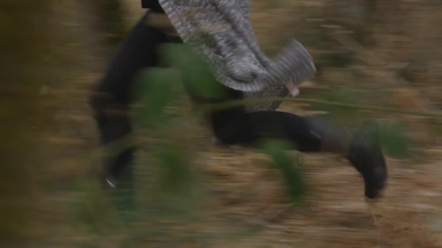 A person runs through the forest