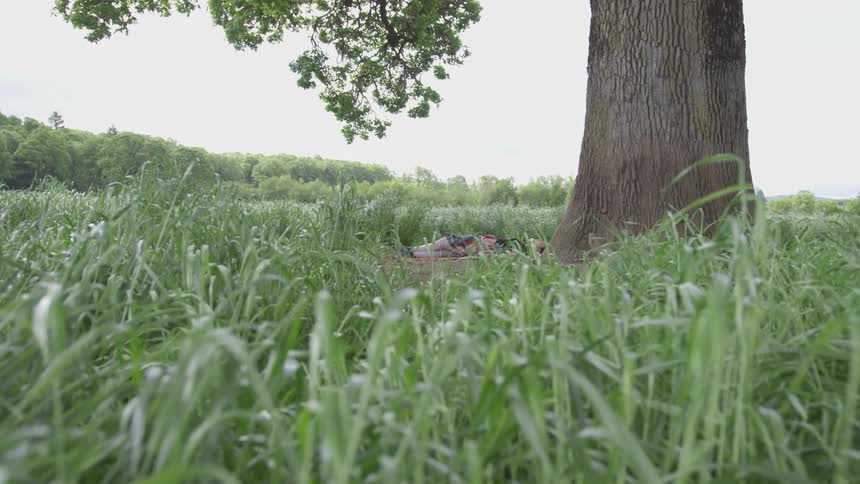 The camera looks over grass towards a large tree trunk and someone laying under it