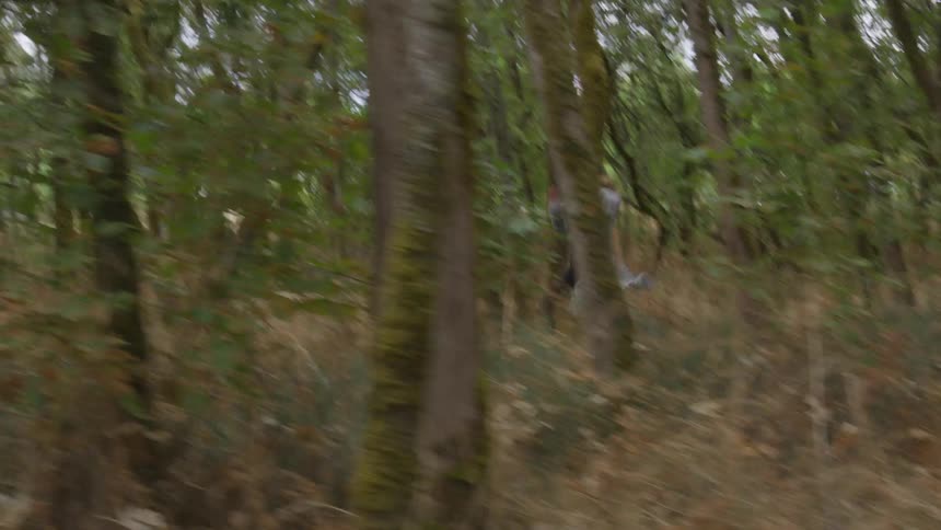 Woman running in the middle of a forest