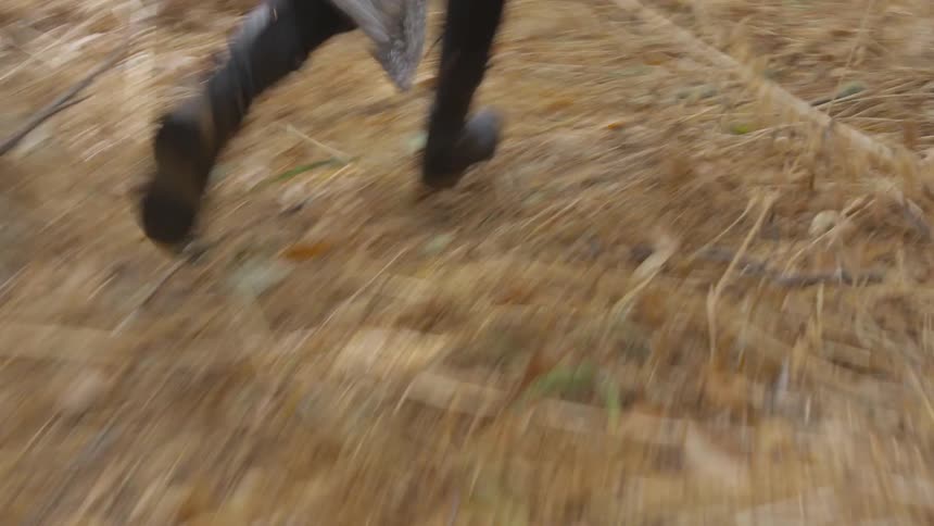 A woman is running through the woods along a worn pathway