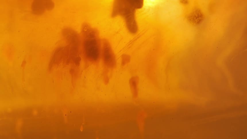 Orange liquid globs flowing almost stationary within more orange liquid