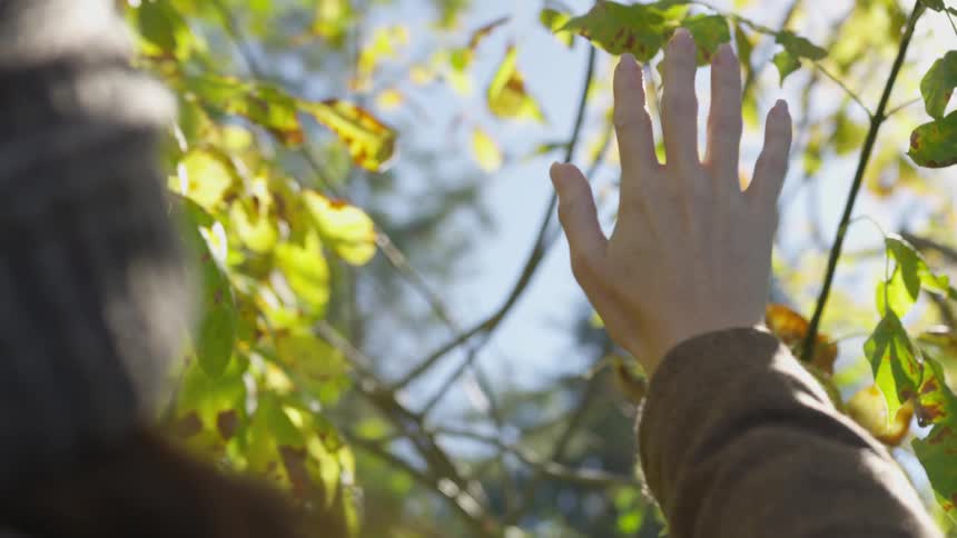 A woman hold her hand up to the sun shining through the leaves and tree branches