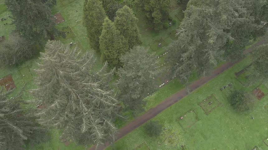 An aerial view of a forest and grass area