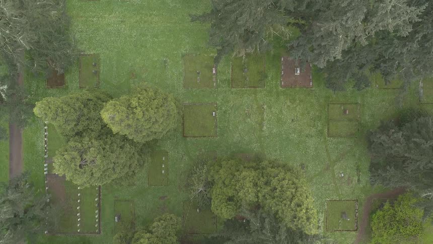Aerial view of a cemetery