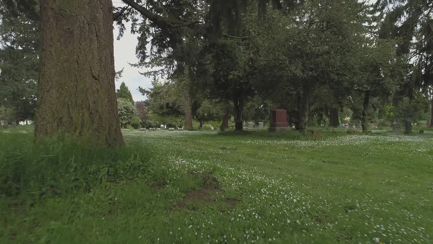 Trees and headstones are scattered throughout a cemetery