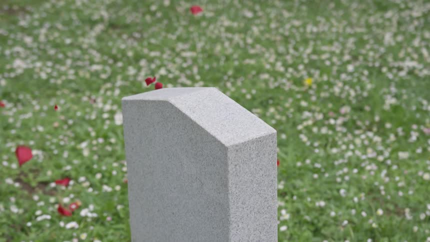 Rose petals rain down on tombstone among field of wildflowers