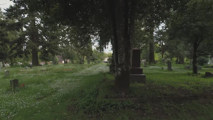 Moving shot of a cemetery overrun with grass