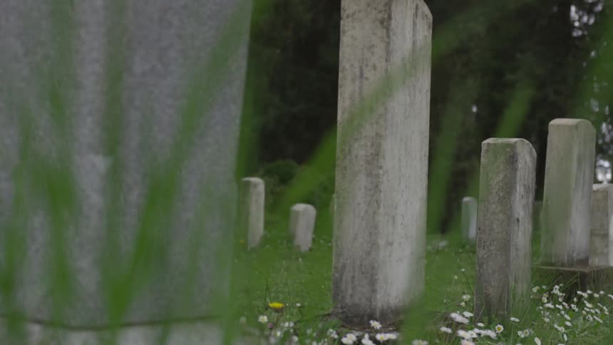 A graveyard full of headstones and grass