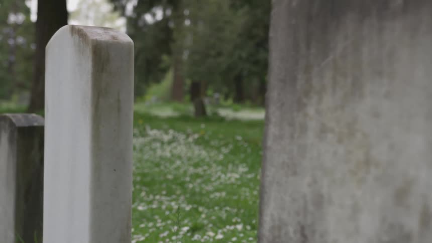 Woman holding red rose walks past old headstones in cemetery