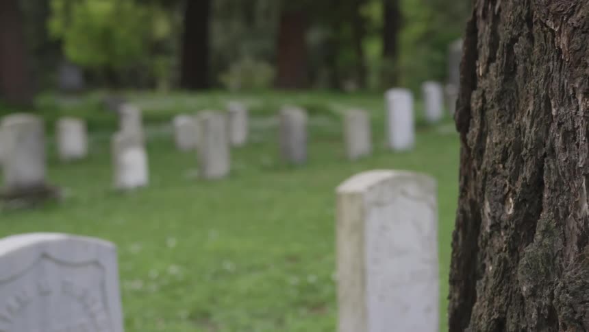 Gravestones lay in a graveyard surrounded by grass and trees