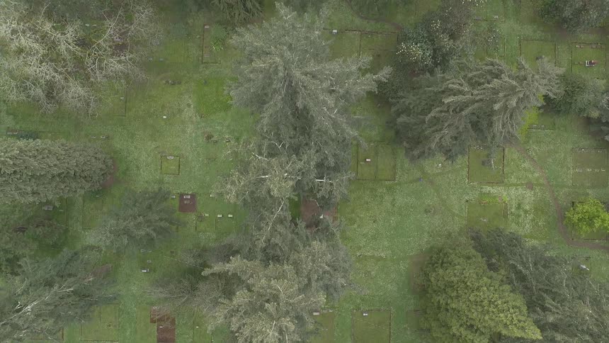 An aerial view of a cemetery in a wooded area