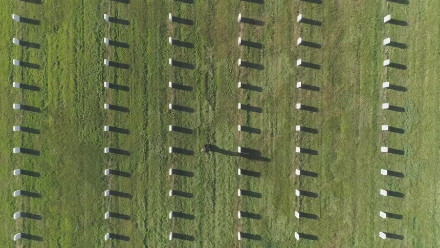 A person walks between rows of white headstones in a cemetery