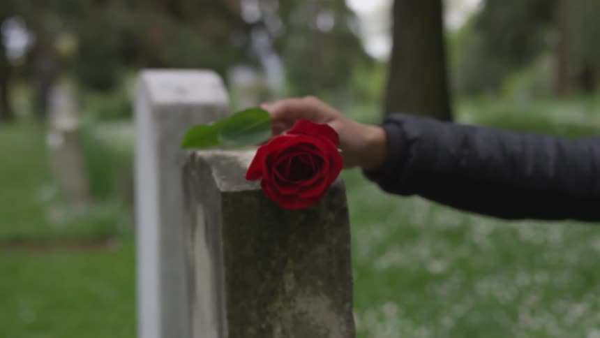 A person placing a flower on a gravestone