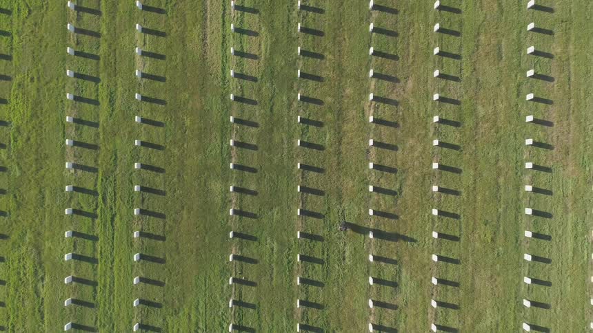 Person walking between rows of headstones in a cemetery