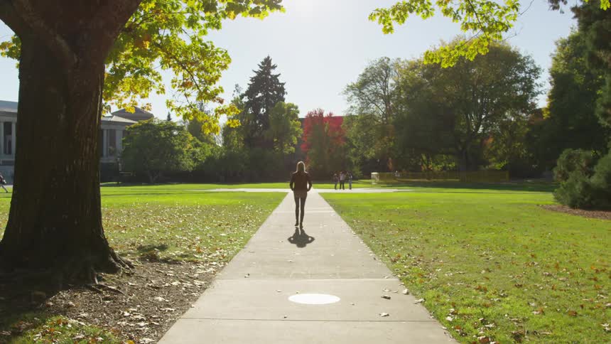 Woman walks on the pavement in the public park during the daytime