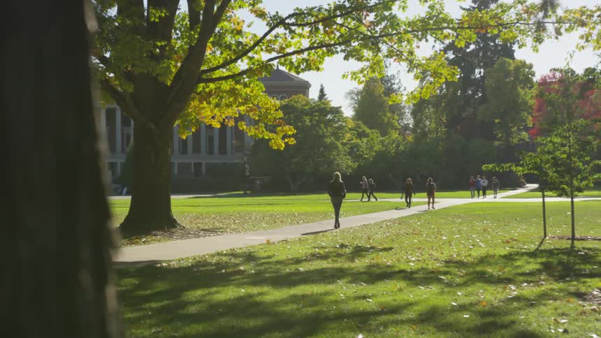 People walking in a pathway outside in the daytime