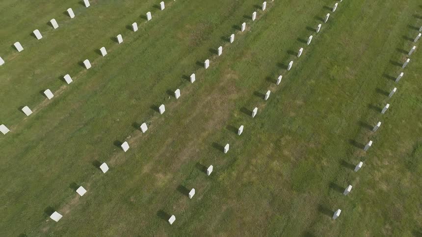 A cemetery with white headstones