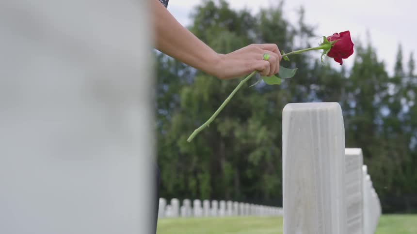 The hand is placing a red long stem rose on top of a headstone at the cemetery