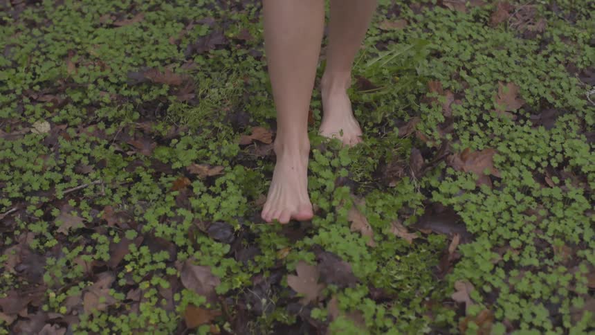 A woman walks through clovers and leaves