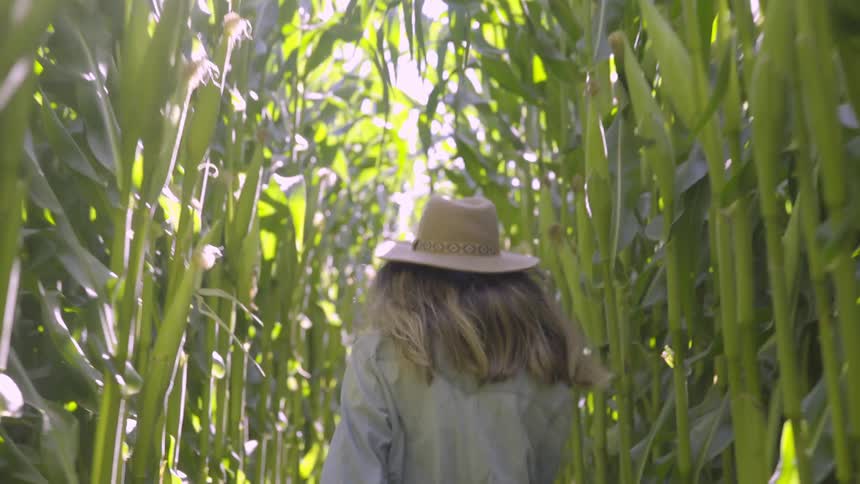 A woman holds onto her hat as she skips down a row in a corn field on a sunny day