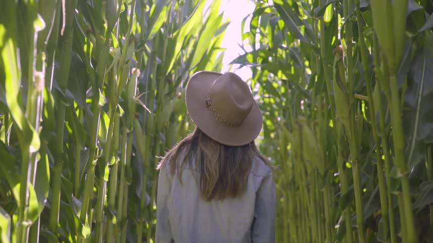 Woman standing in the middle of a tall grass field looking around