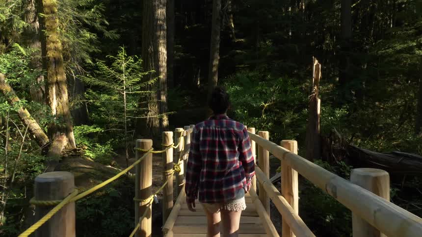 Woman goes over the bridge in the woods in the daytime