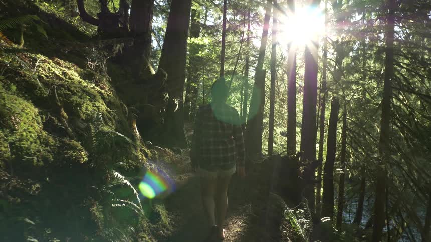 Woman walks on a trail in the forest under the bright sun