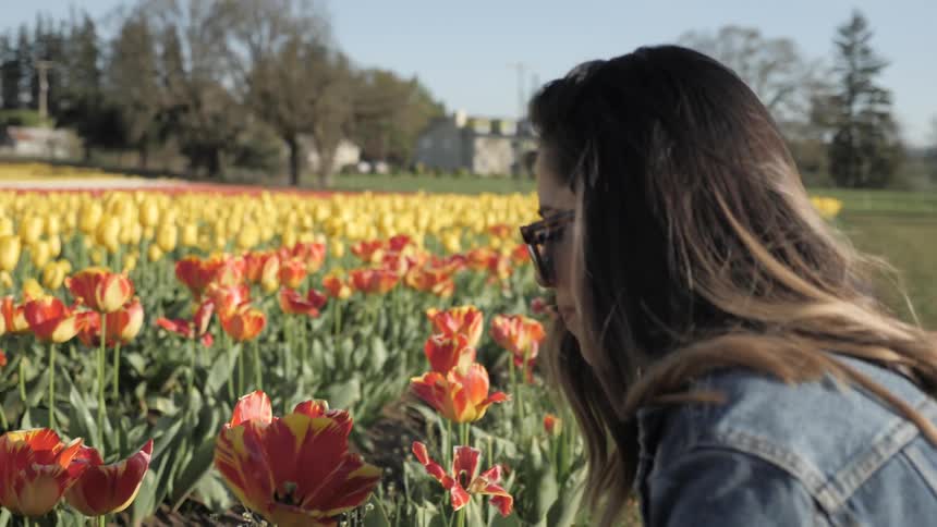 A woman stops to sniff tulips while walking through a field