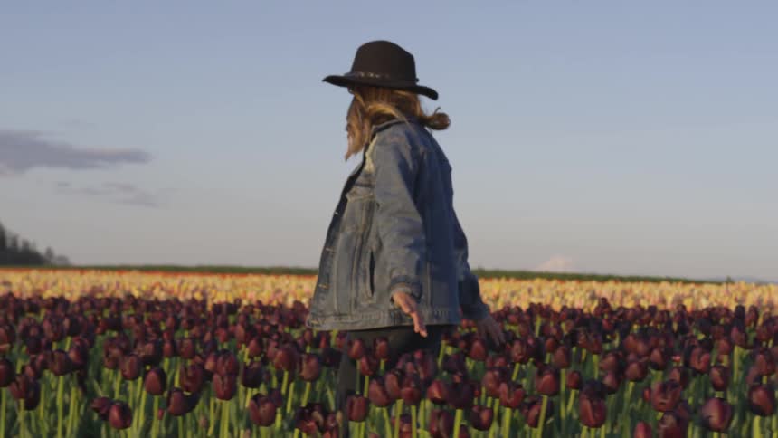 A woman walks in a tulip field with her hands outstretched to touch the blossoms