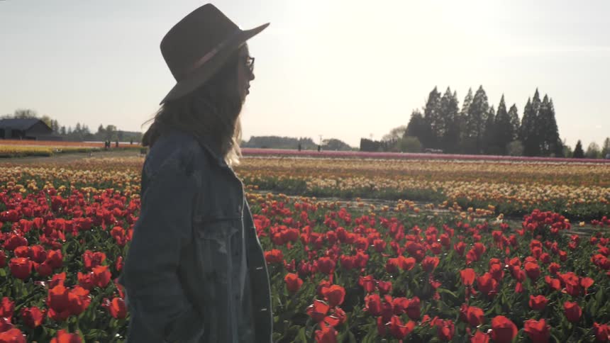 Woman walking through a tulip field at sunset