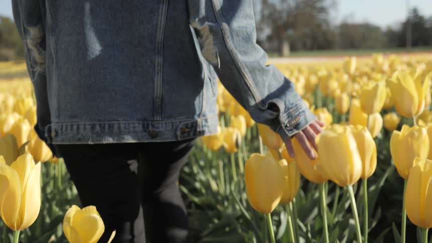 A woman walks through a field of tulips