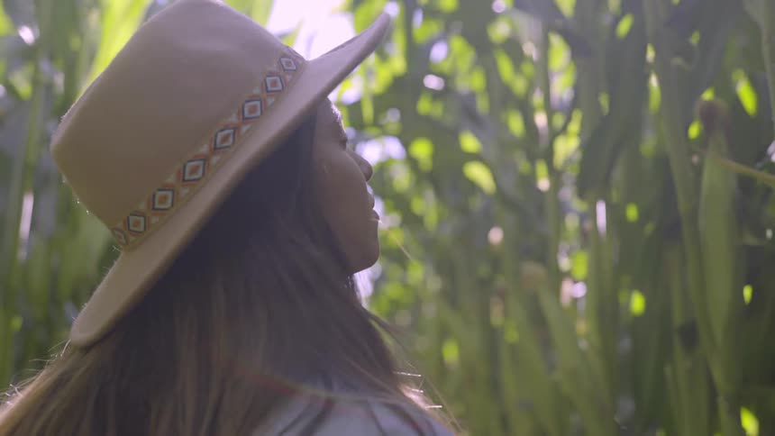 Woman walks through corn stalks