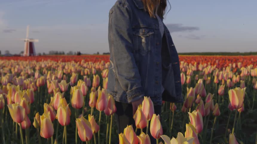 A woman in a denim jacket walks in a field of tulips