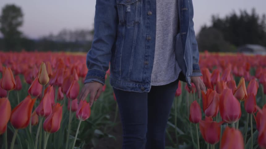 A woman walks backwards while touching tulip blossoms