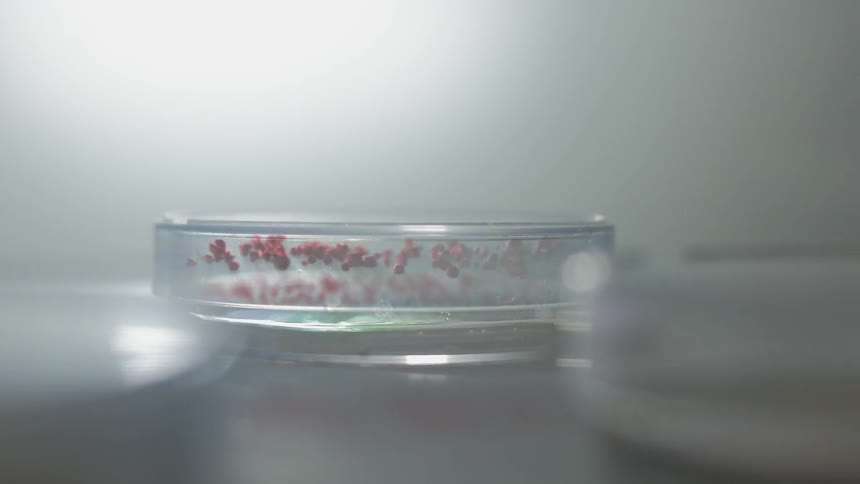 Small objects bounce in a glass dish