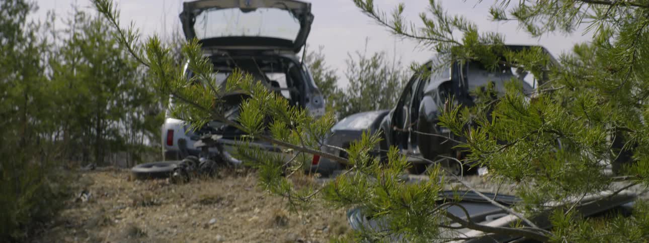 Junked cars sit in the forest