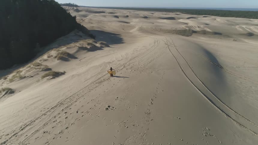 A woman in bright flowing clothing can be seen dancing in a large desert at the edge of a large forest