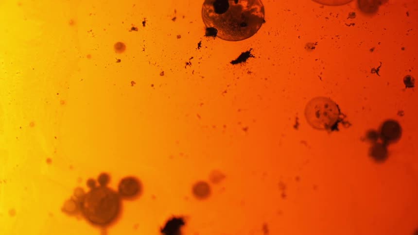 Oil reacting with water