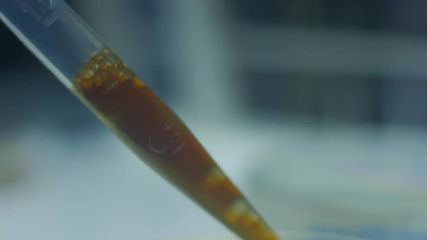 A syringe is adjusting its level of moisture