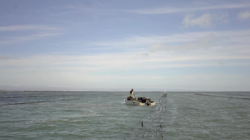 A fisherman jumps from a boat into the ocean