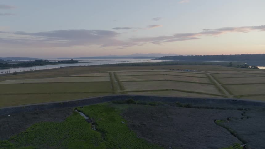 Revealing tidal wetlands that are next to patterned farmland
