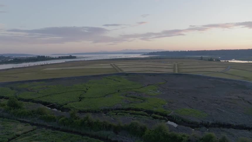 Flying over lush coastal wetlands and farm fields at dusk