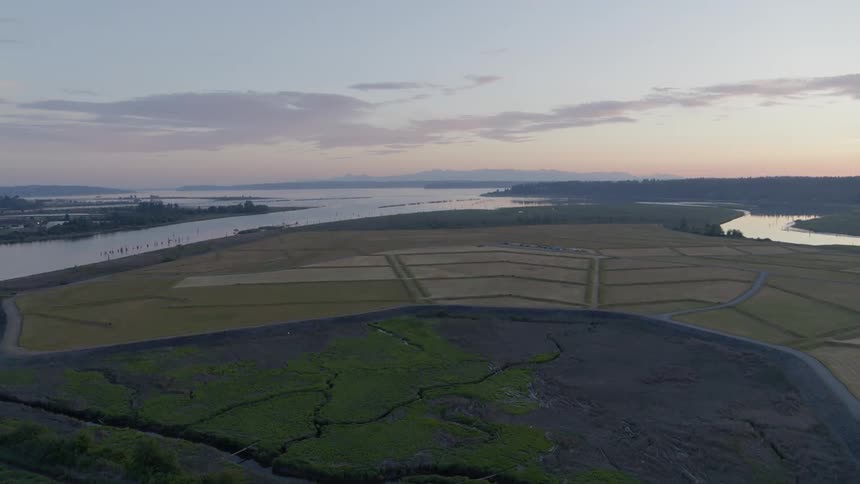 Ascent from natural wetlands to reveal coastal farmland plots