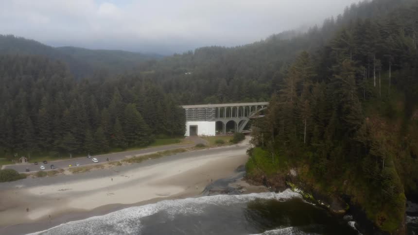 Overhead view of forest ocean and bridge
