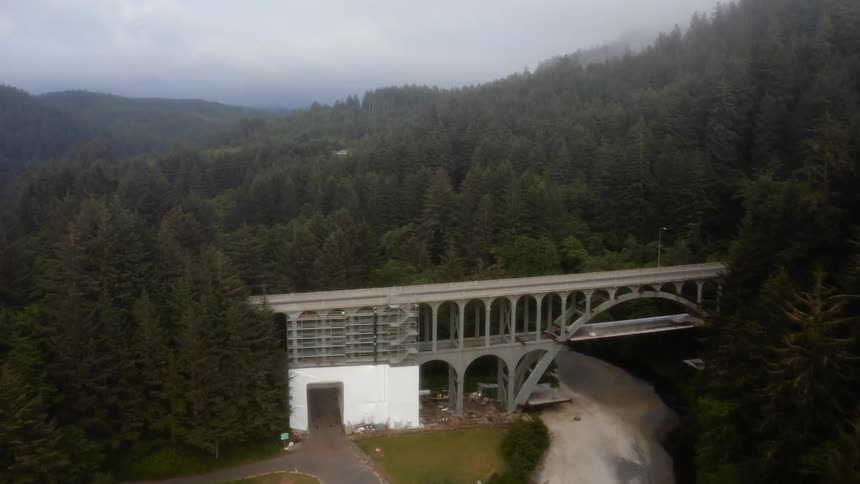 A bridge sits at the entrance to a forest