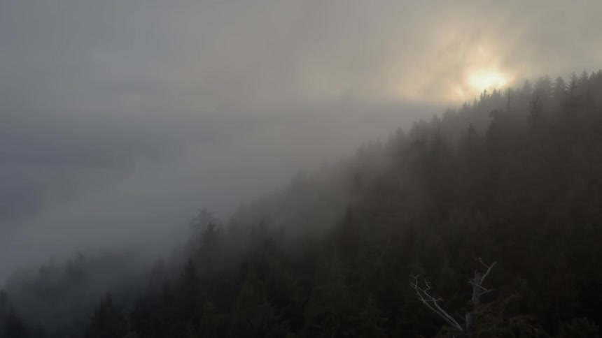 Aerial view of a mountain forest covered in clouds at sunrise