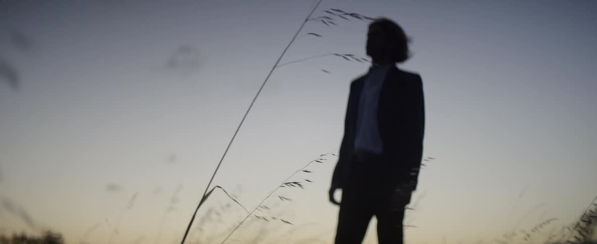 A man standing in a field at dusk