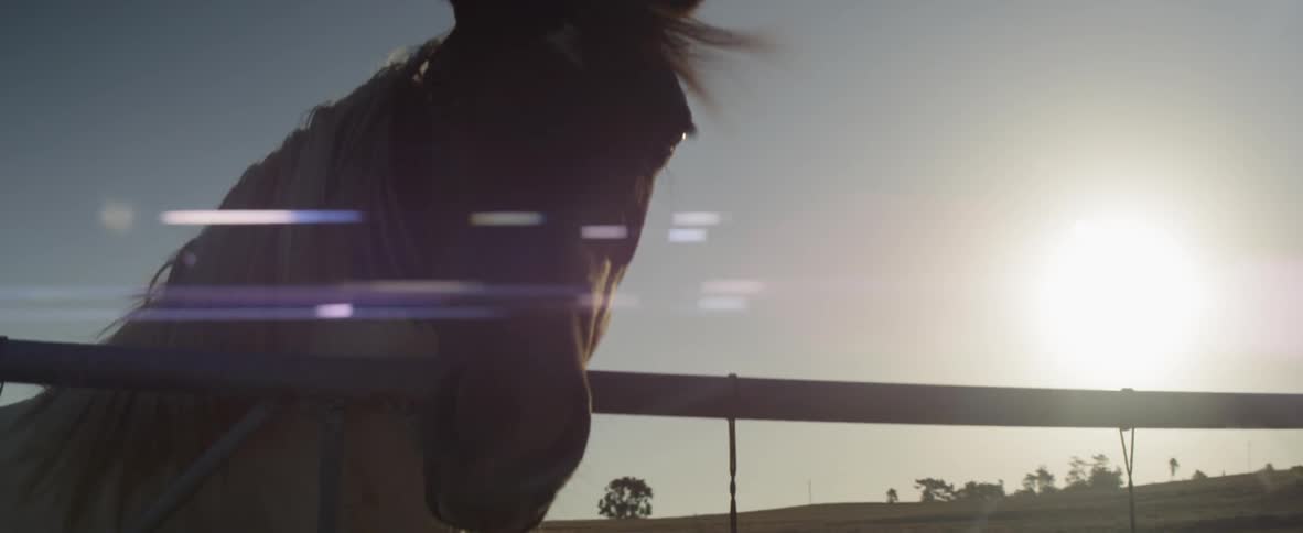 A horse standing in pasture during sunrise